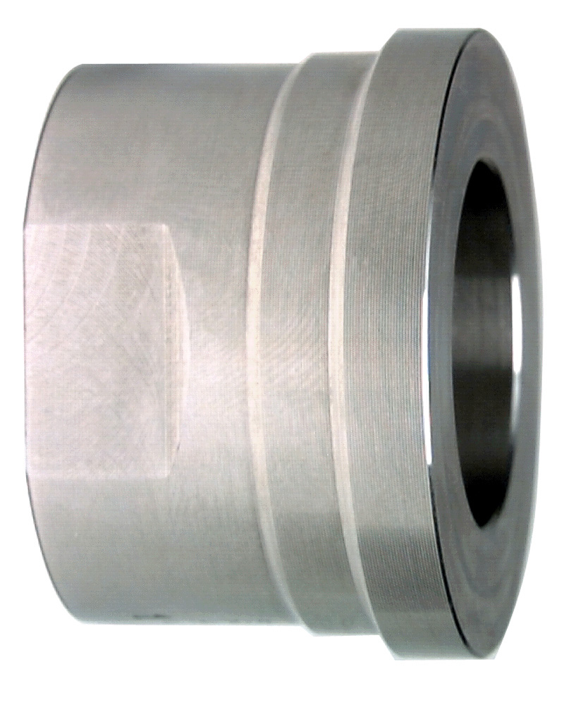Einlegteil Edelstahl WN 1.4404 (316L) Rp Rp 3/8 inch, PN 16 bar